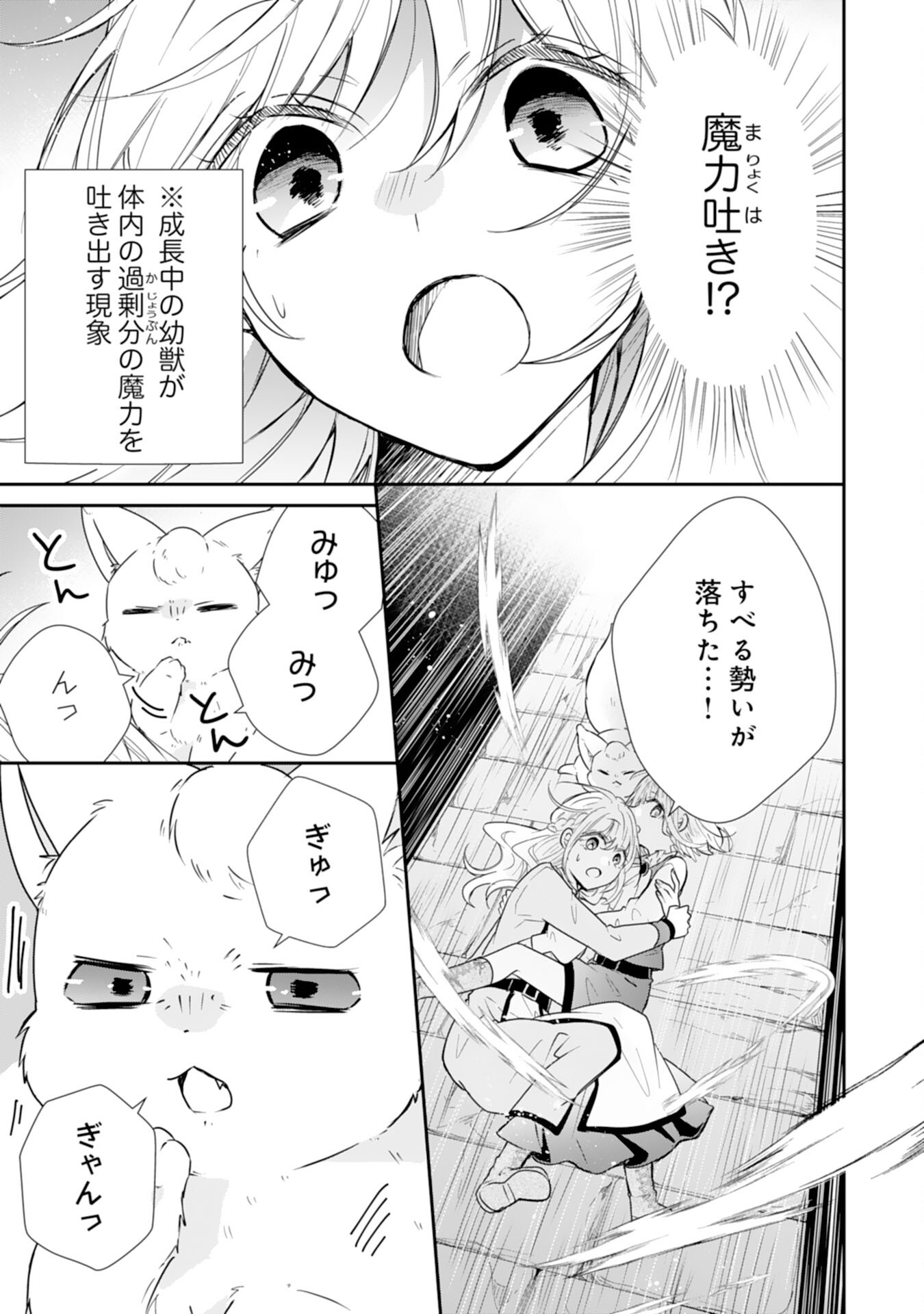 平凡な私の獣騎士団もふもふライフ 第26話 - Page 5