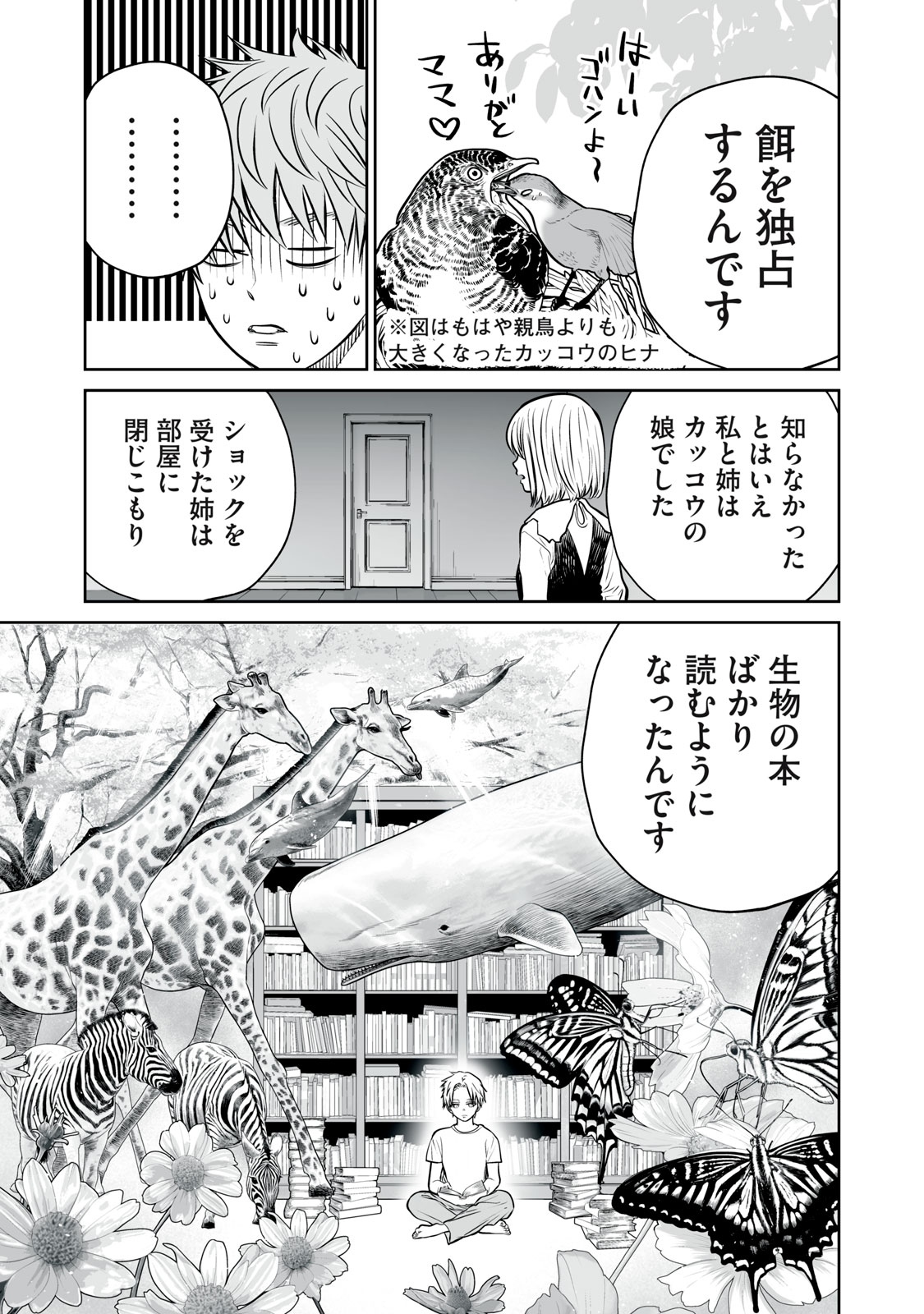 あくまでクジャクの話です。 第13話 - Page 11