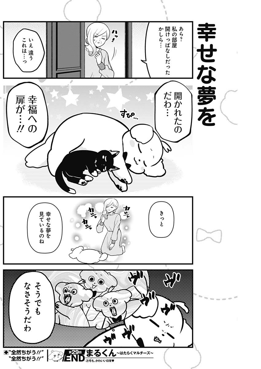 まるくん～はたらくマルチーズ～ 第29話 - Page 8