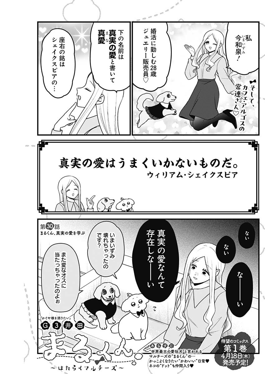 まるくん～はたらくマルチーズ～ 第30話 - Page 1