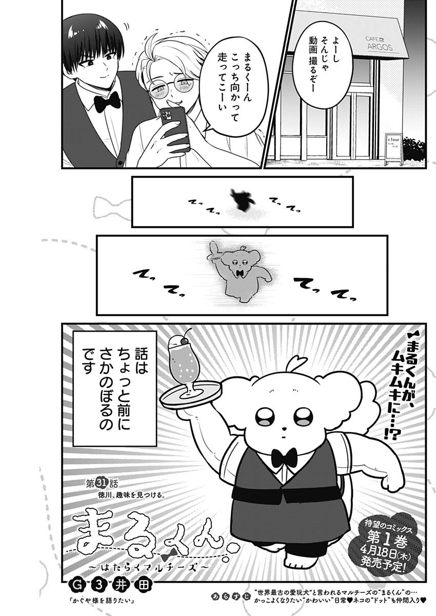 まるくん～はたらくマルチーズ～ 第31話 - Page 1