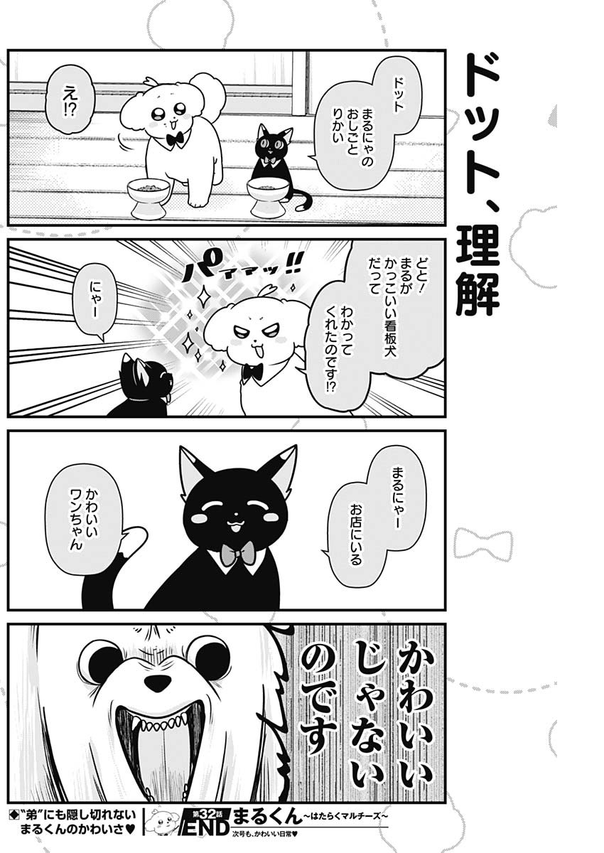 まるくん～はたらくマルチーズ～ 第32話 - Page 8