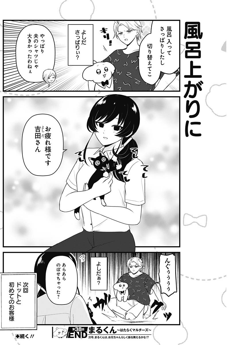 まるくん～はたらくマルチーズ～ 第38話 - Page 8