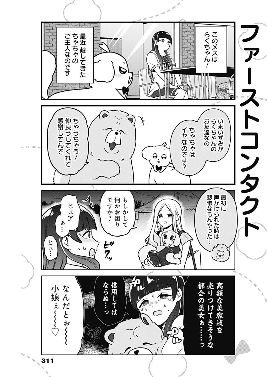 まるくん～はたらくマルチーズ～ 第48話 - Page 3