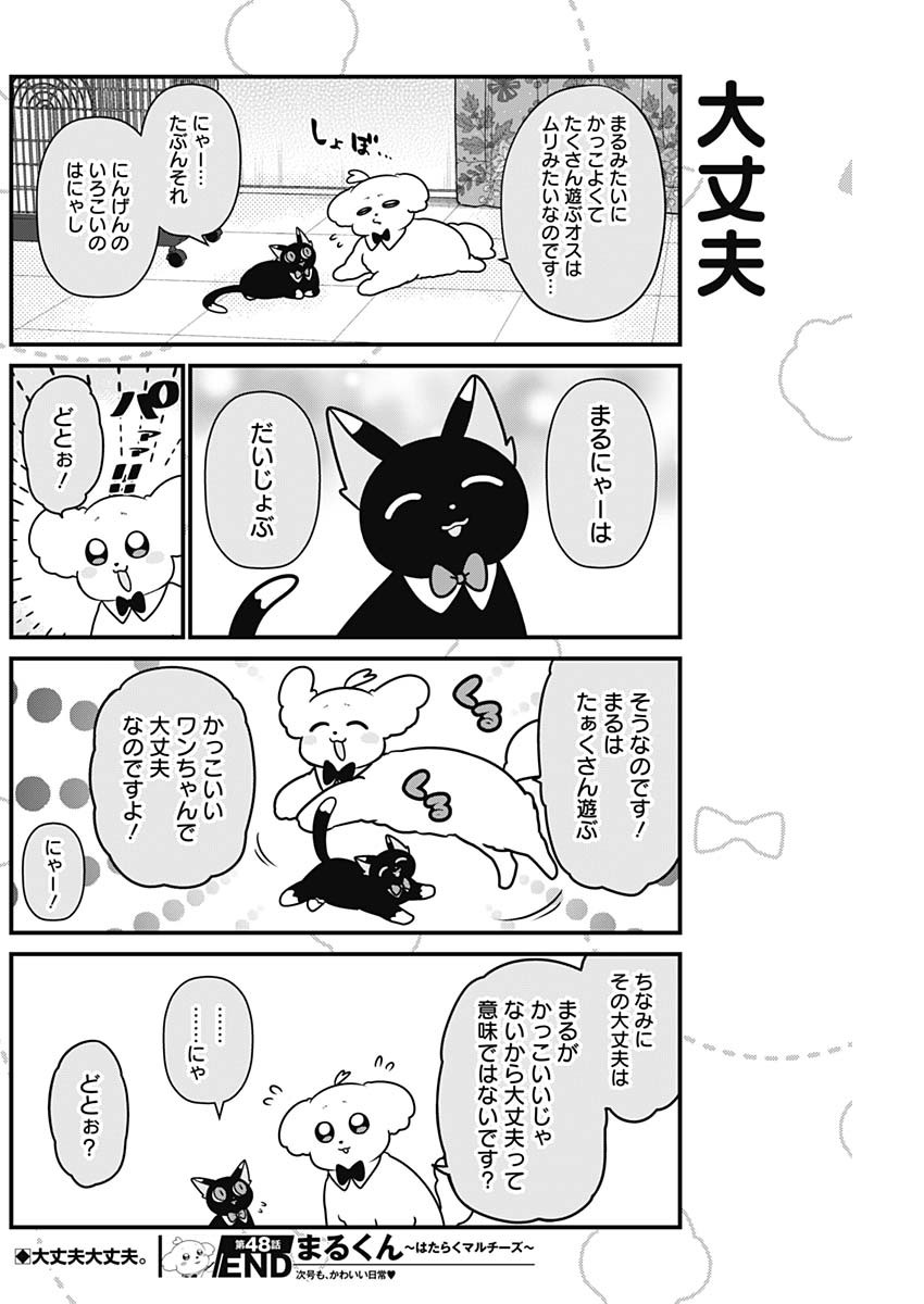 まるくん～はたらくマルチーズ～ 第48話 - Page 8