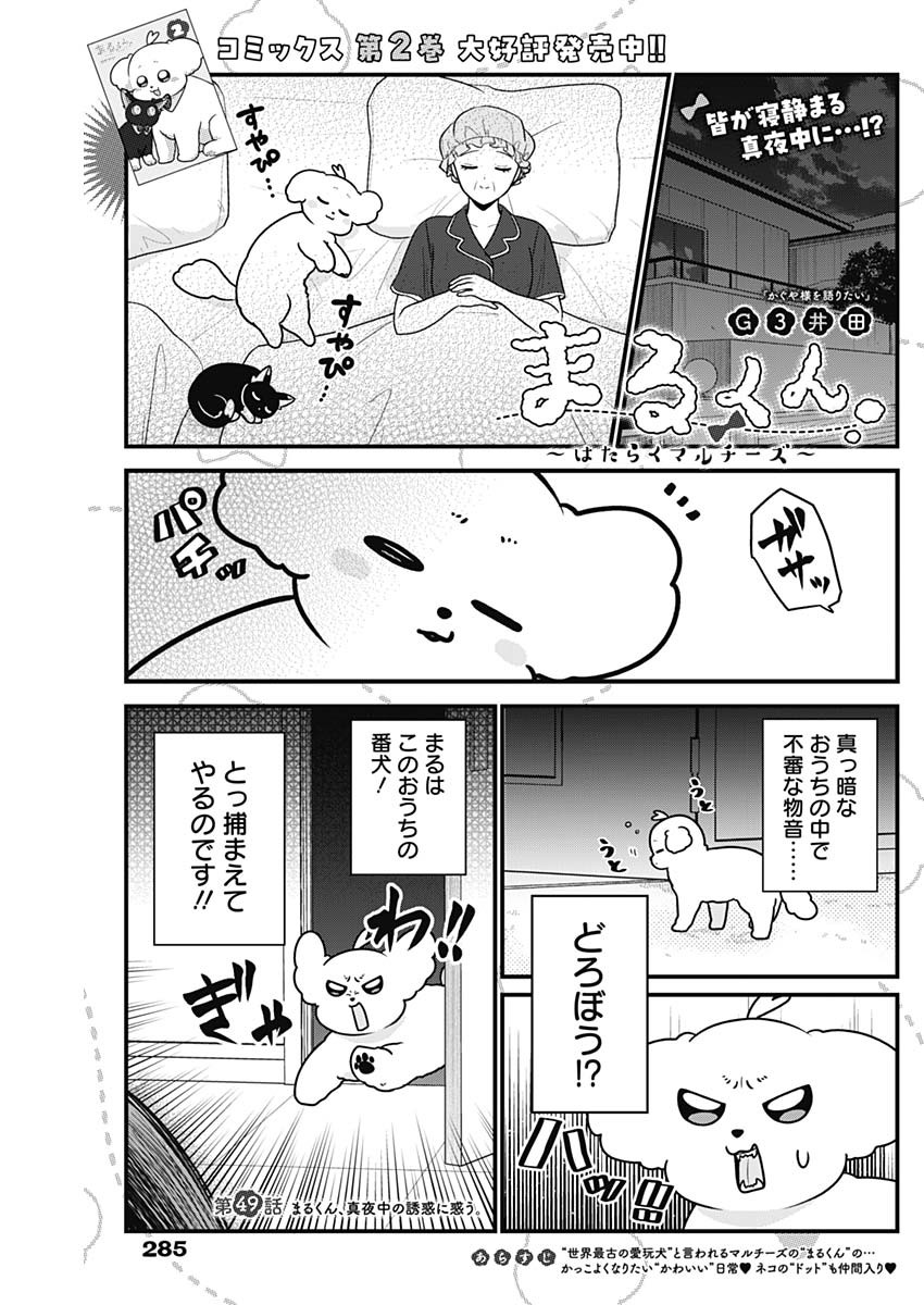 まるくん～はたらくマルチーズ～ 第49話 - Page 1