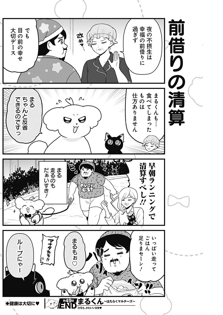 まるくん～はたらくマルチーズ～ 第49話 - Page 8