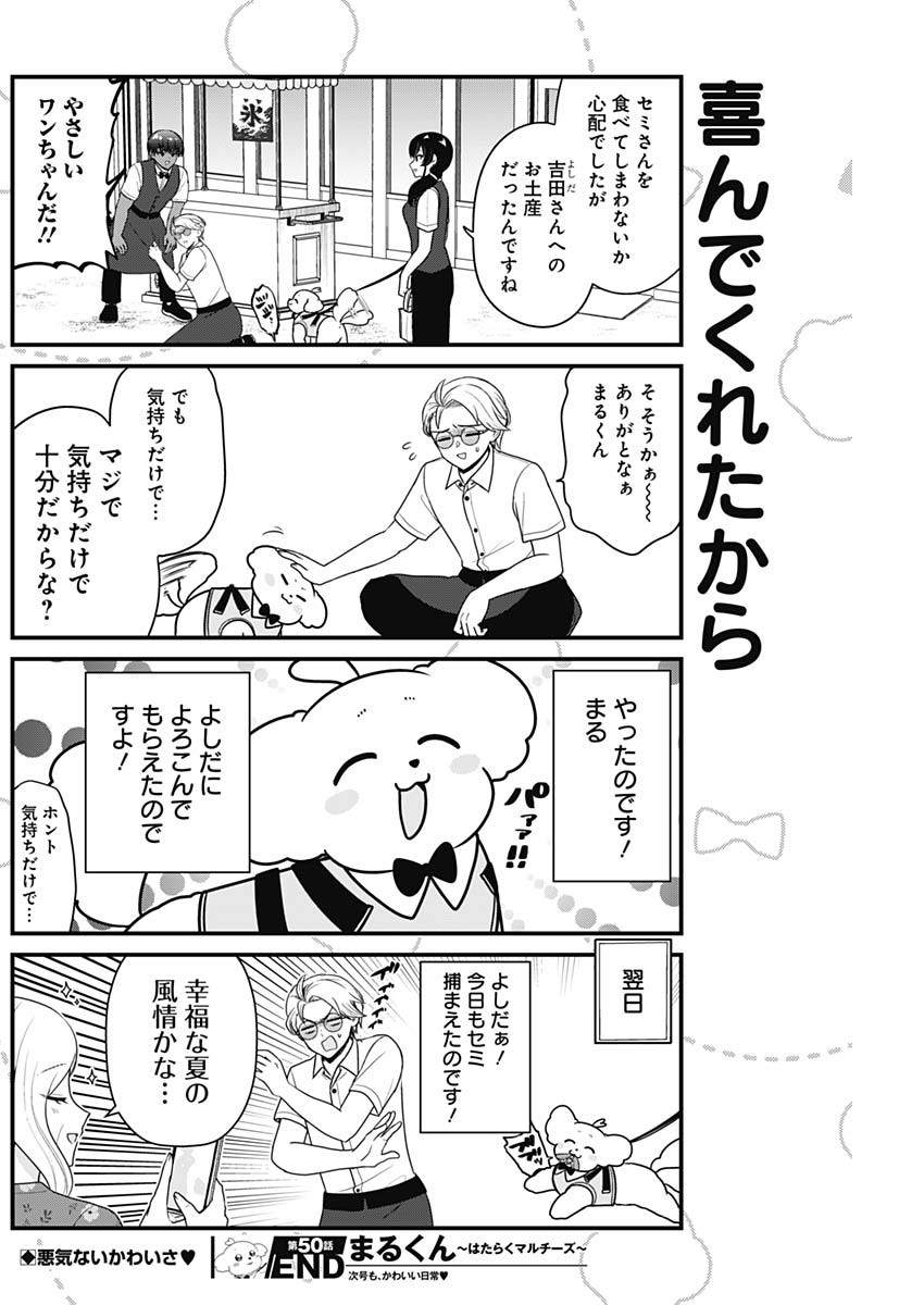 まるくん～はたらくマルチーズ～ 第50話 - Page 8