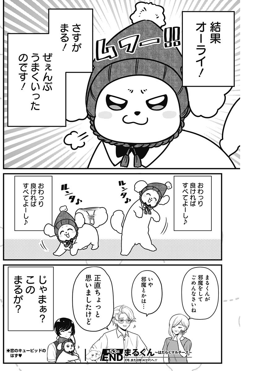 まるくん～はたらくマルチーズ～ 第53話 - Page 8