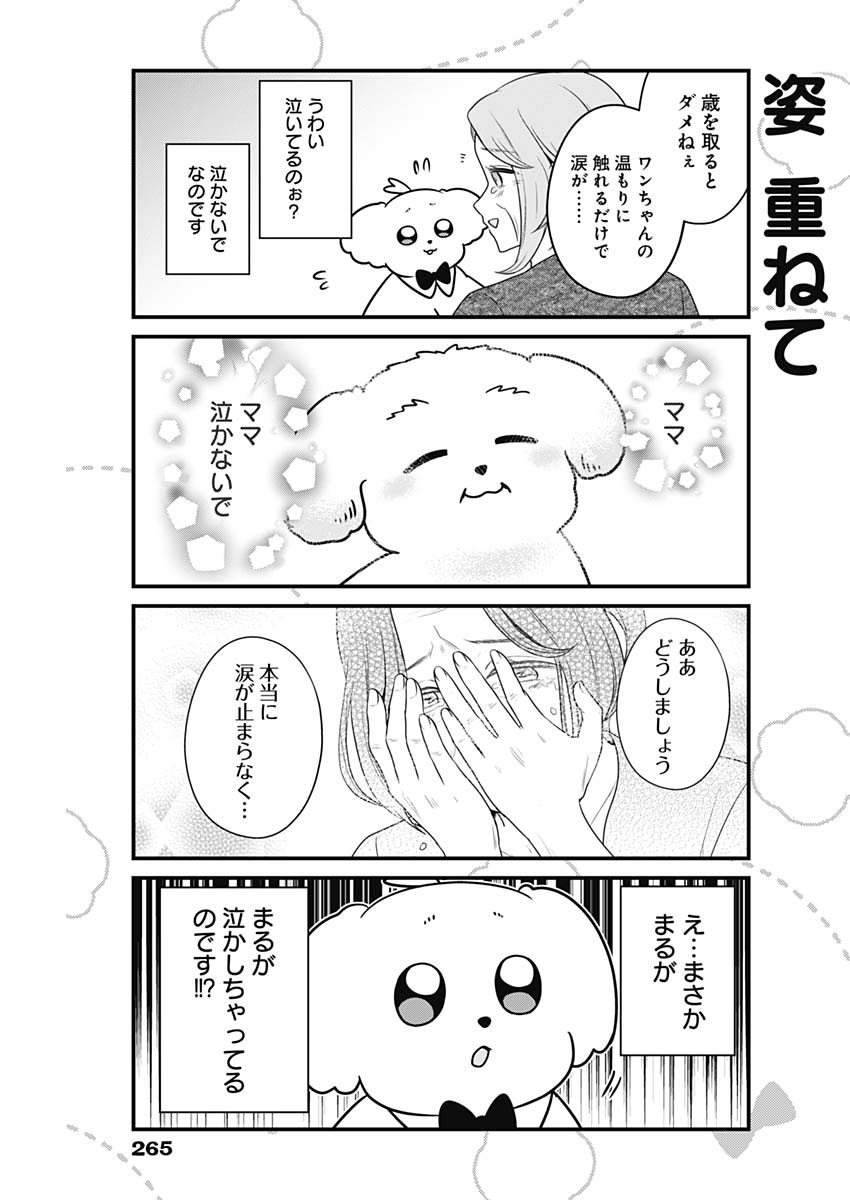 まるくん～はたらくマルチーズ～ 第55話 - Page 5