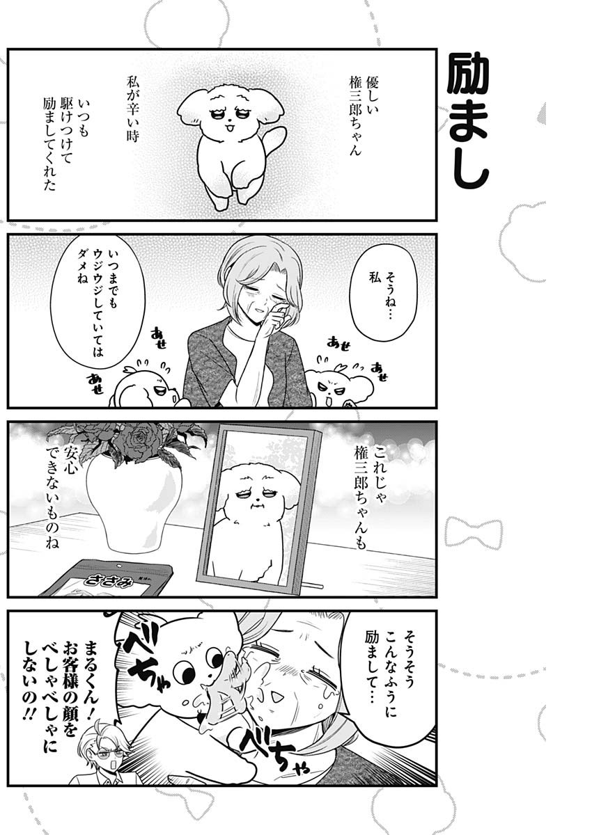 まるくん～はたらくマルチーズ～ 第55話 - Page 6