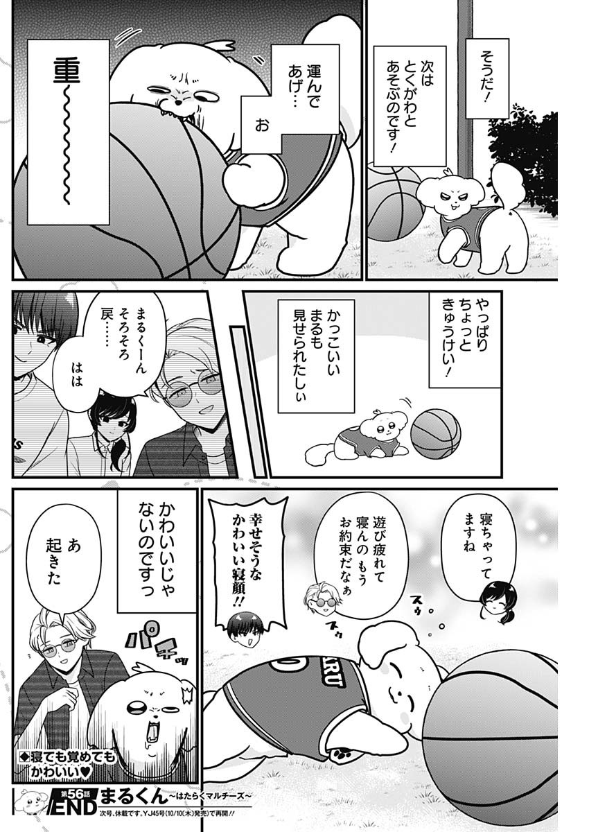 まるくん～はたらくマルチーズ～ 第56話 - Page 8