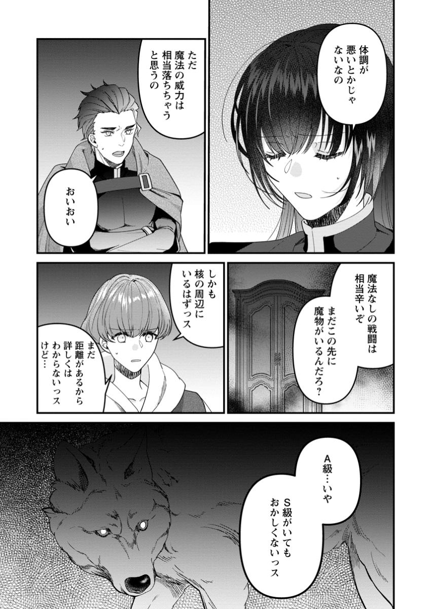 わたし、聖女じゃありませんから 第31.3話 - Page 9