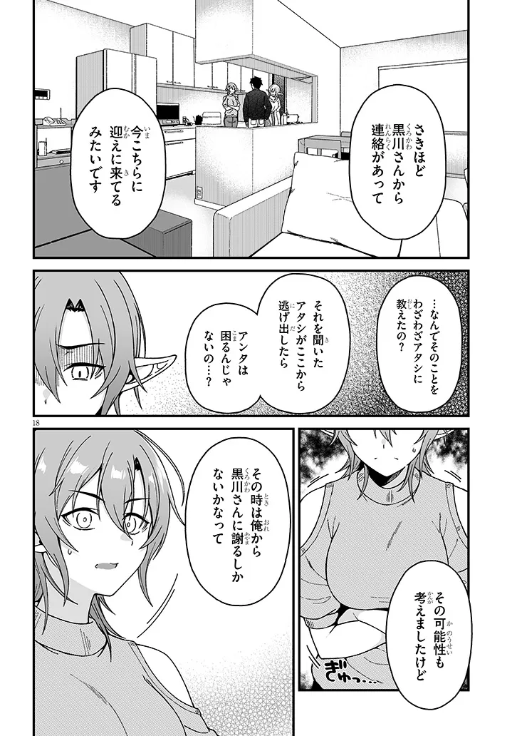 異世界から来た君（エルフ）と共に過ごす日常 第6.1話 - Page 18