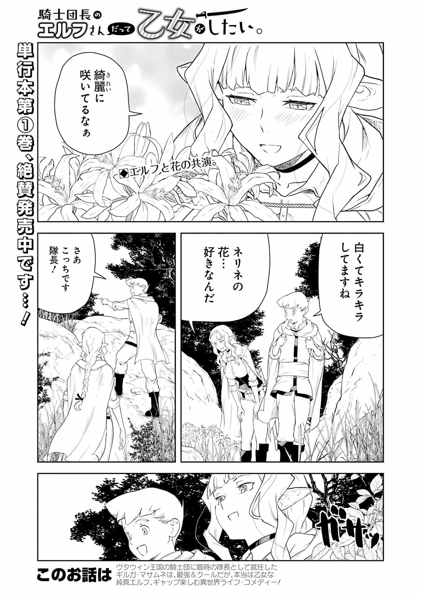 騎士団長のエルフさんだって乙女がしたい。 第17話 - Page 1