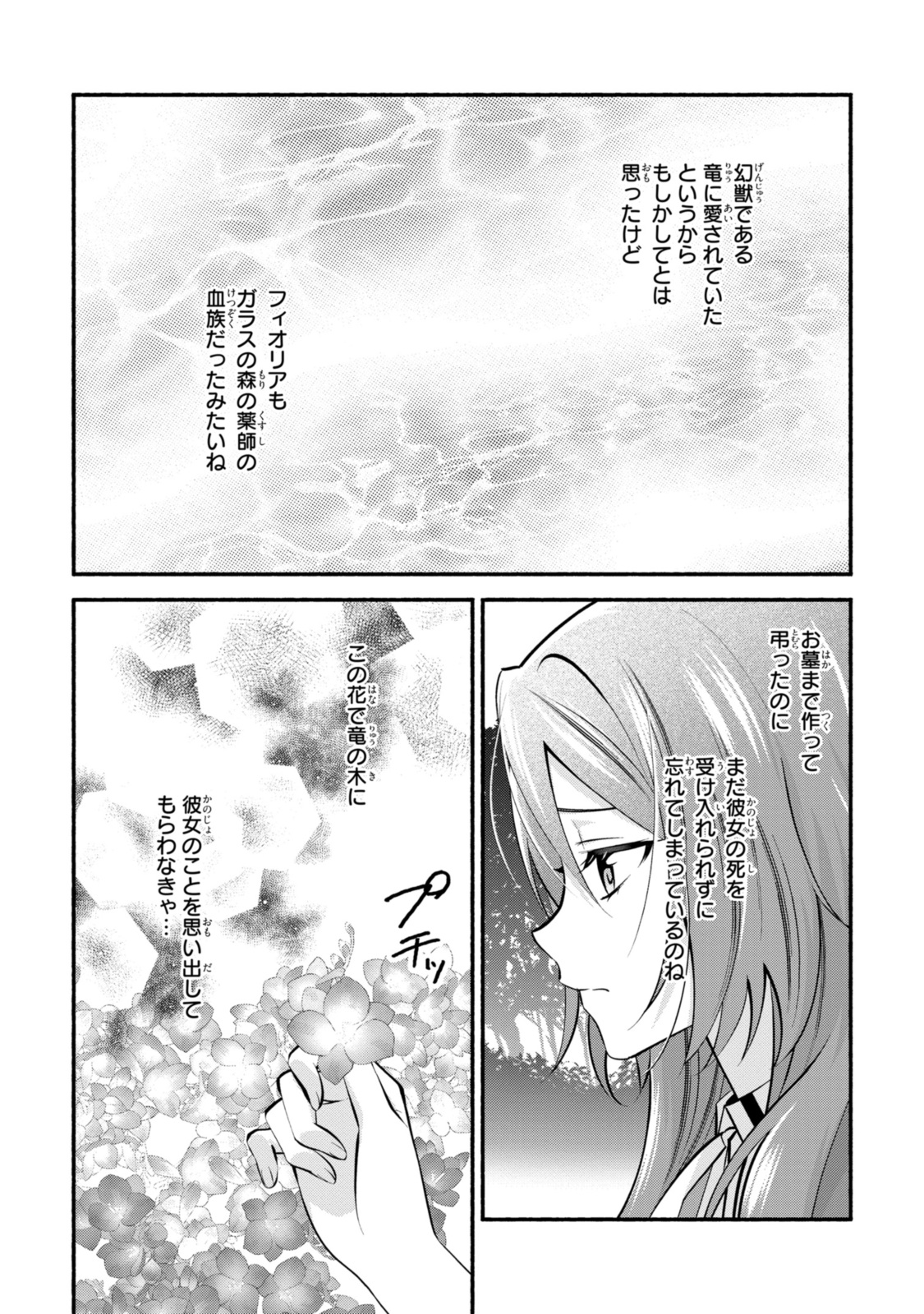 まがいもの令嬢から愛され薬師になりました 第26.2話 - Page 11