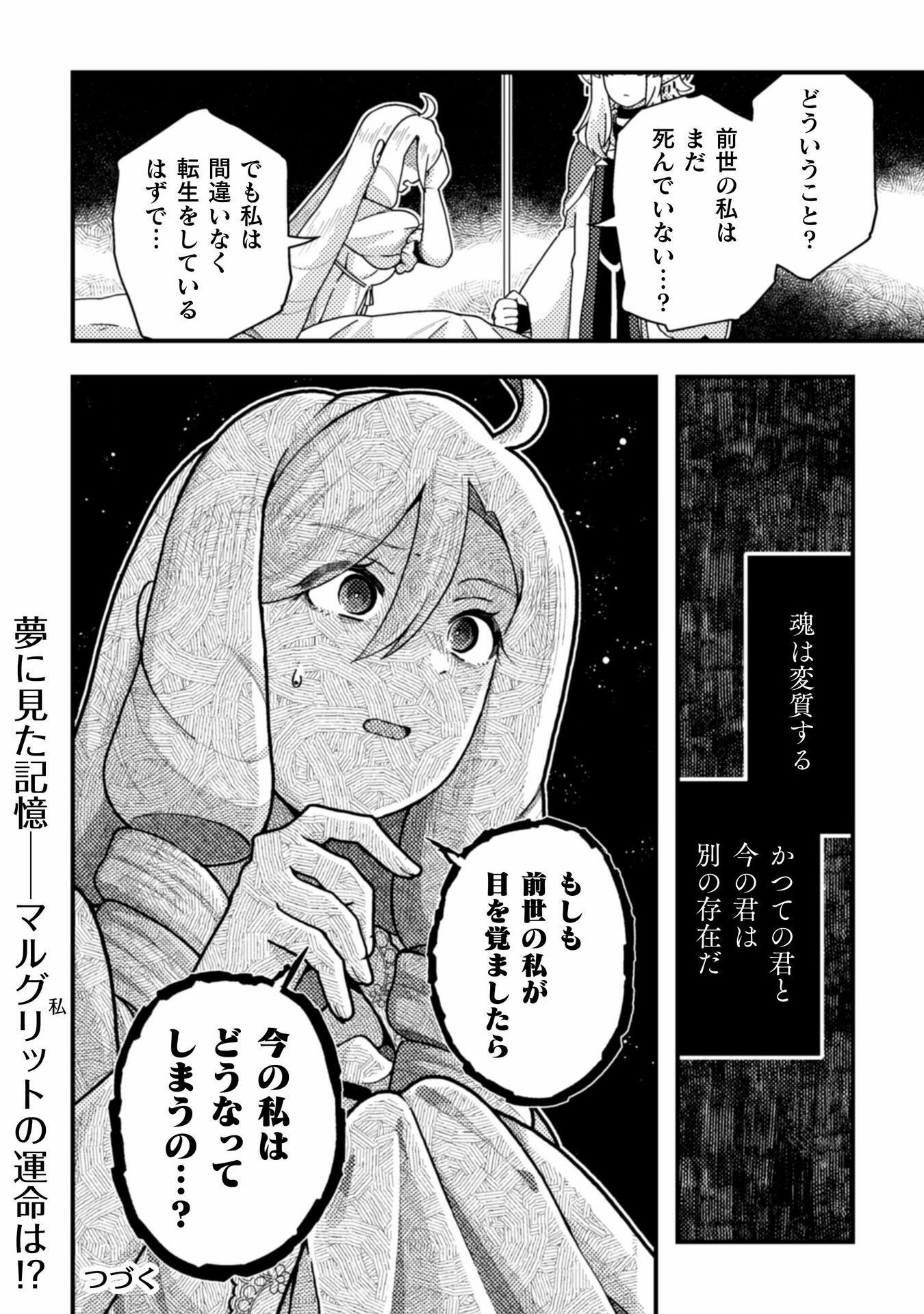 乙女ゲームの悪役令嬢に転生したけどフォロワーが布教してた知識しかない 第20話 - Page 28