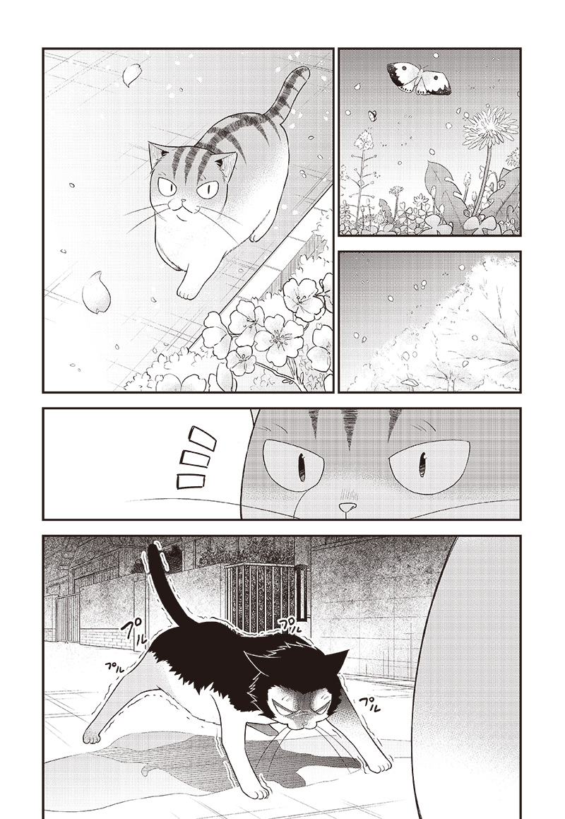 猫が如く 第33話 - Page 3