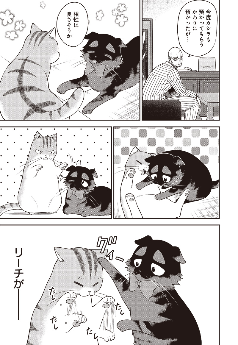 猫が如く 第35話 - Page 4