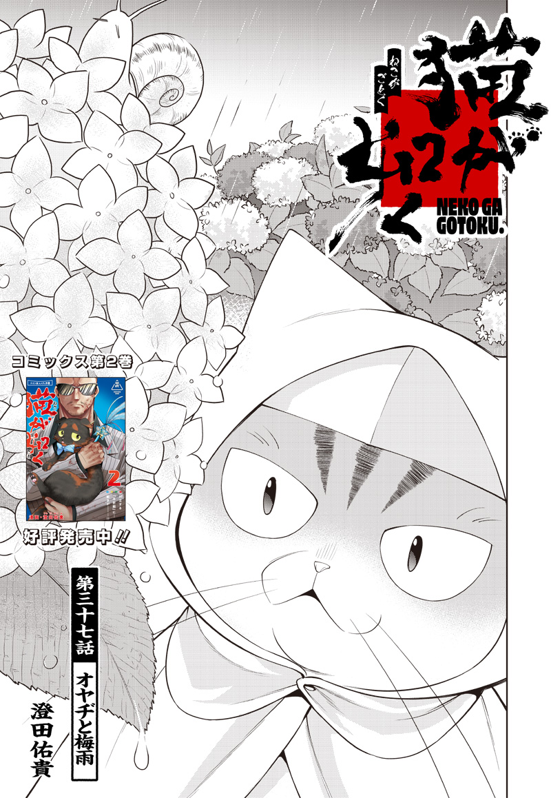 猫が如く 第37話 - Page 3