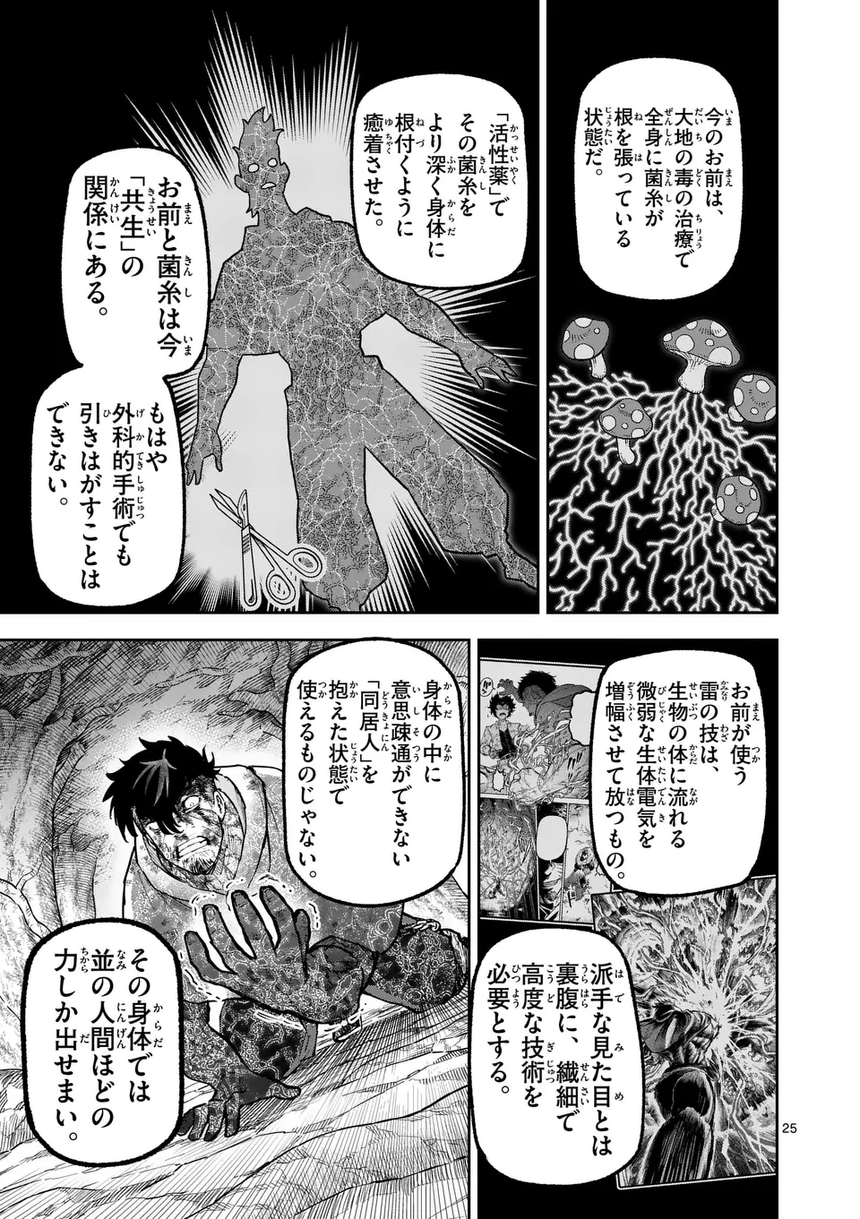 獣王と薬草 第31話 - Page 25