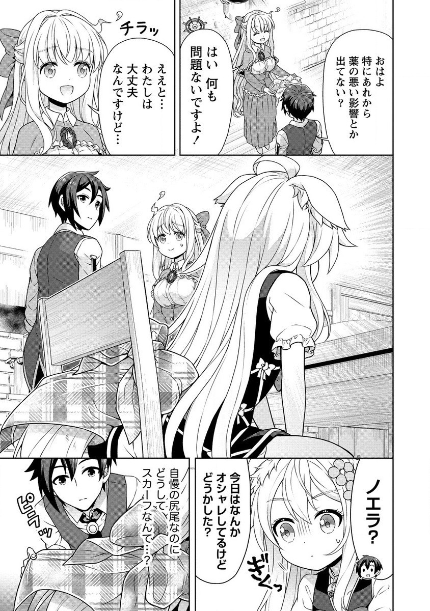 チート薬師のスローライフ 異世界に作ろうドラッグストア 第56.2話 - Page 6