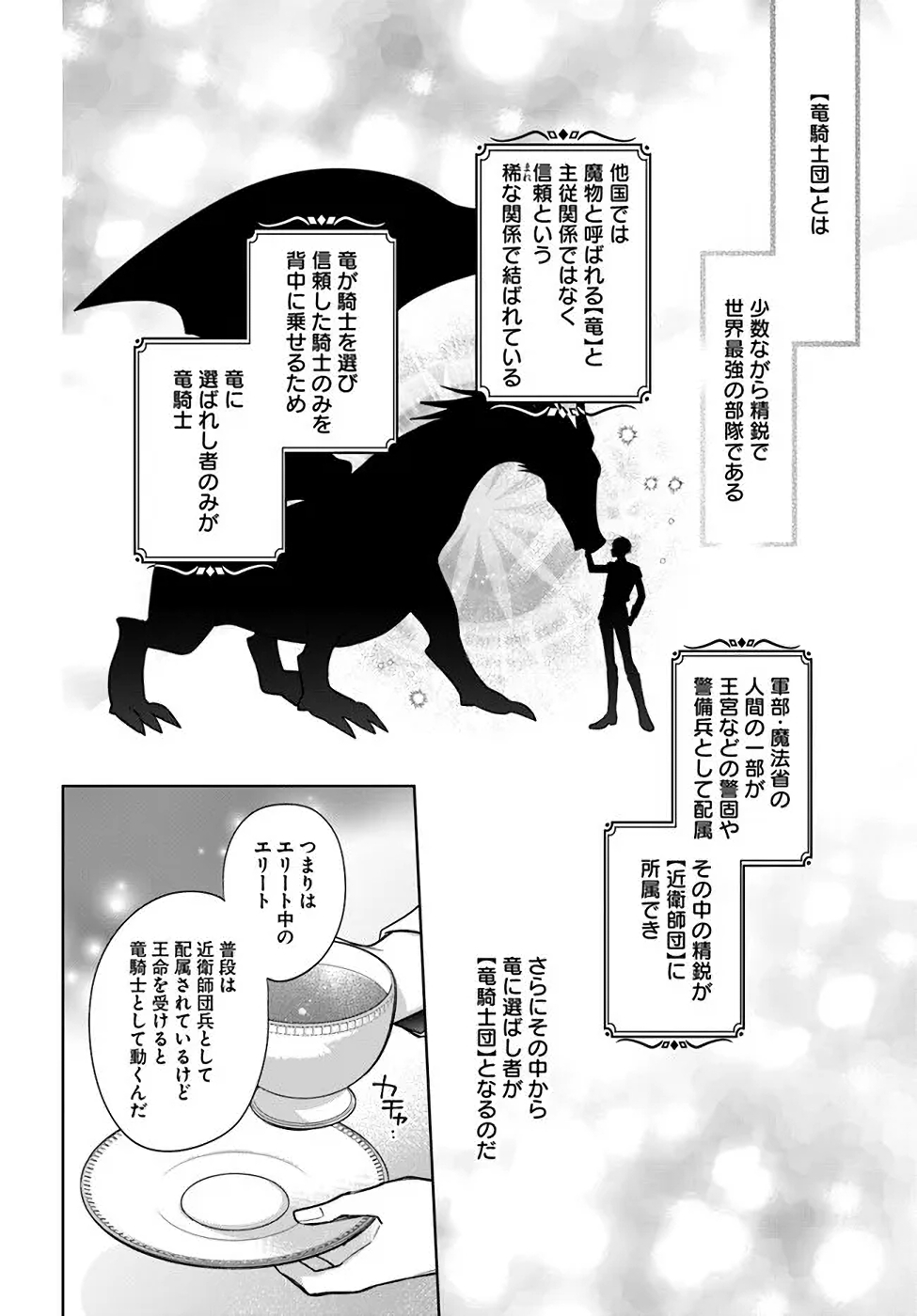 聖女じゃなかったので、王宮でのんびりご飯を作ることにしました 第17話 - Page 2