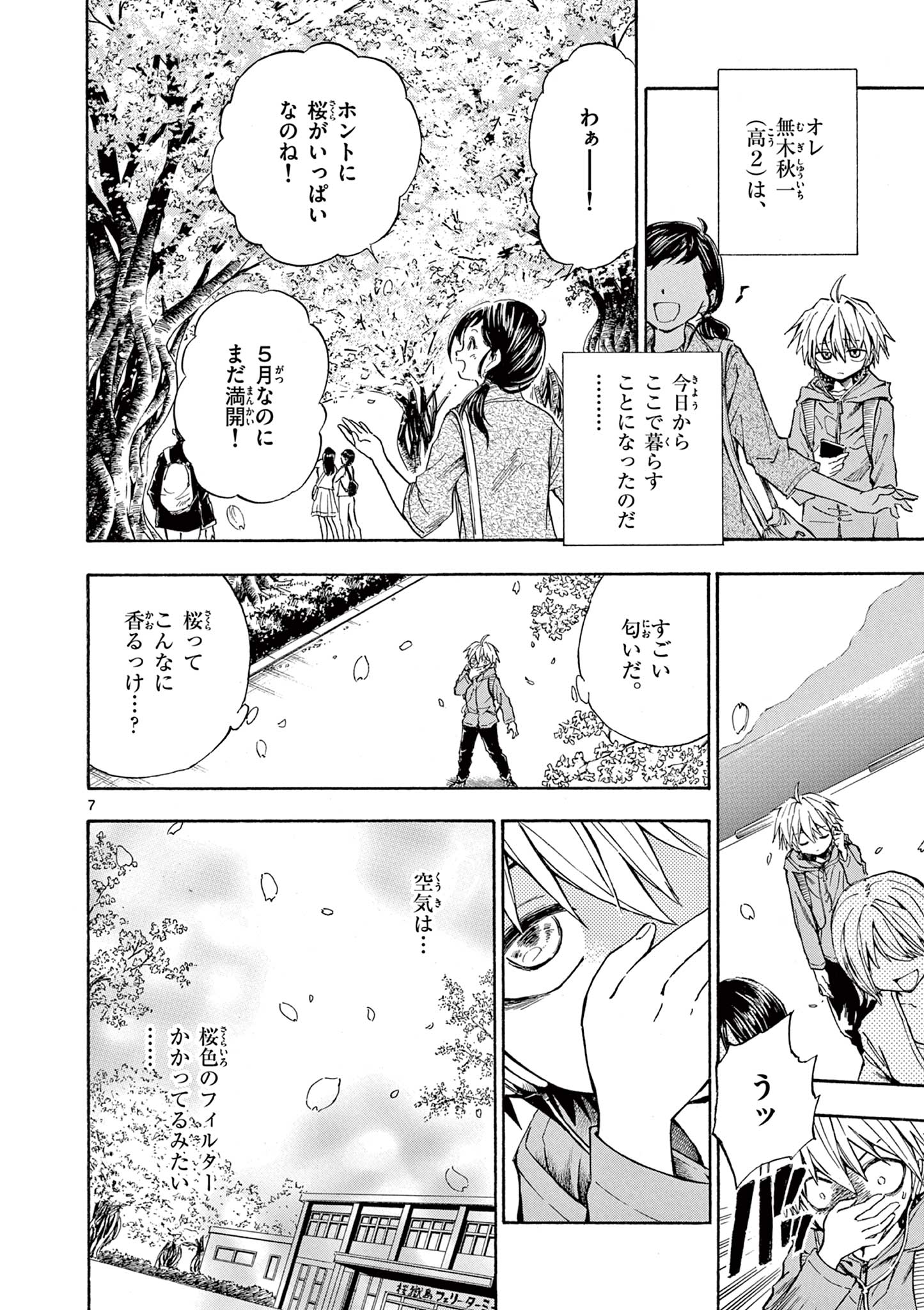 青春島 -僕の命を青春に捧ぐ- 第1.1話 - Page 8