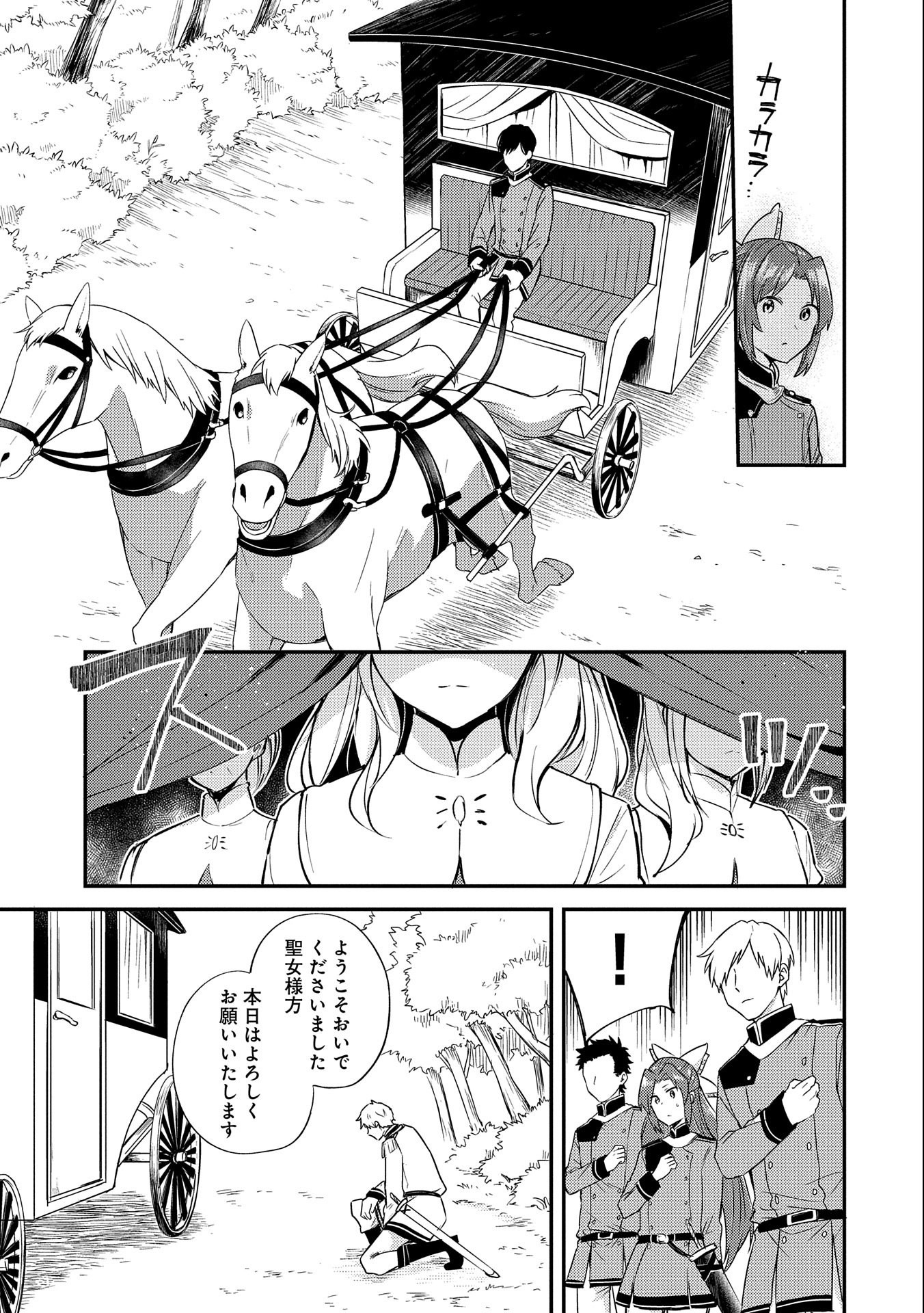 転生した大聖女は、聖女であることをひた隠す 第4話 - Page 13