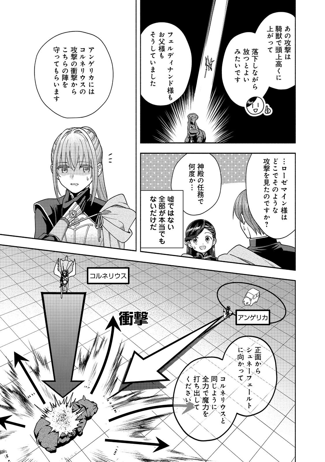 本好きの下剋上【第四部】 第30話 - Page 11