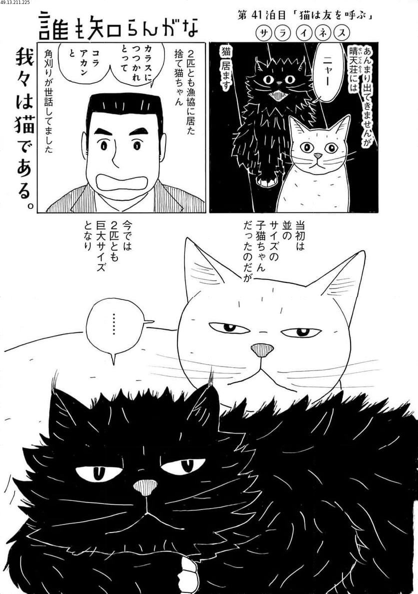 誰も知らんがな - 第41話 - Page 1