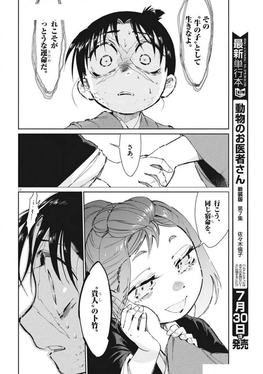 太陽と月の鋼 - 第73話 - Page 12