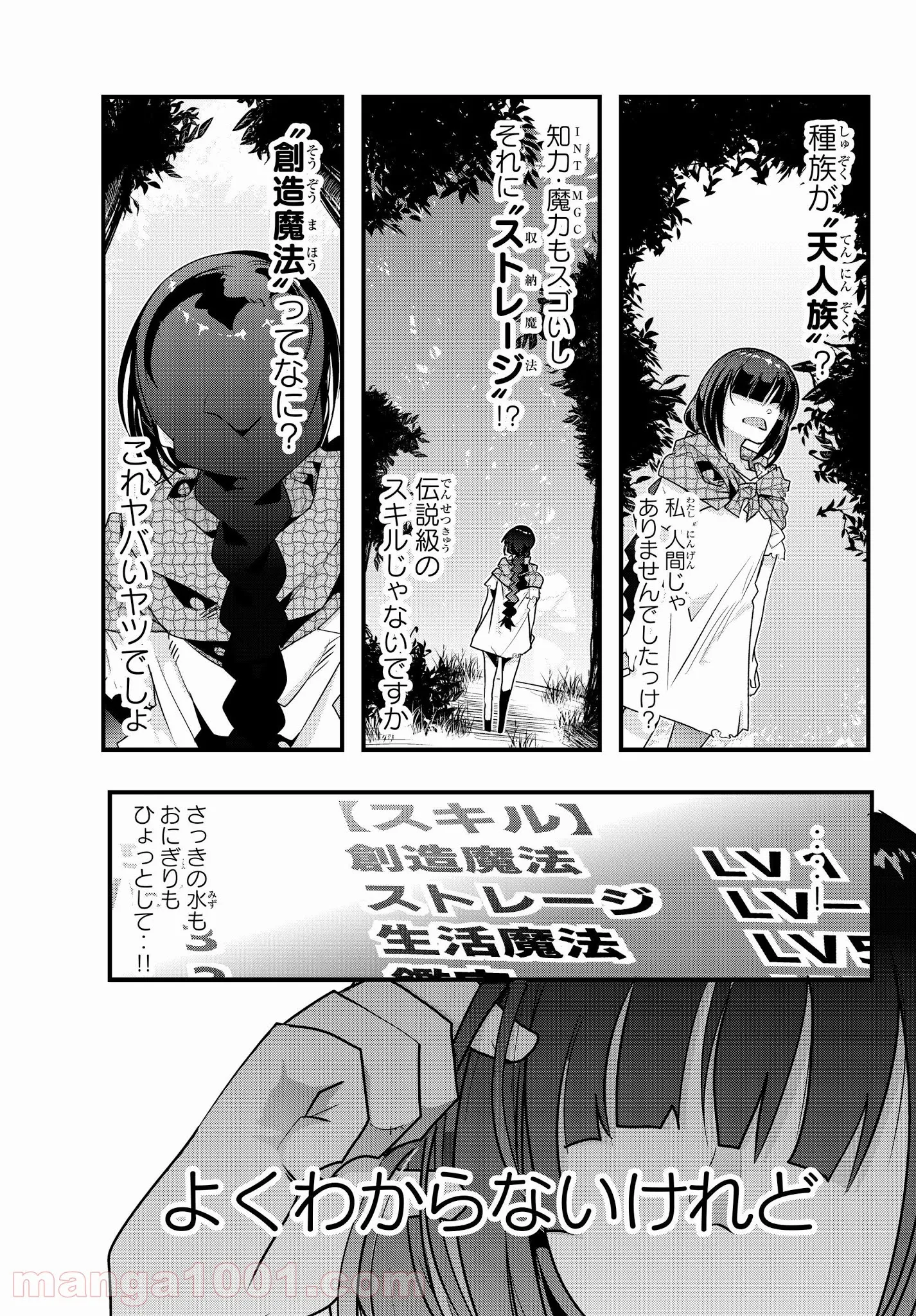 よくわからないけれど異世界に転生していたようです - 第1話 - Page 38