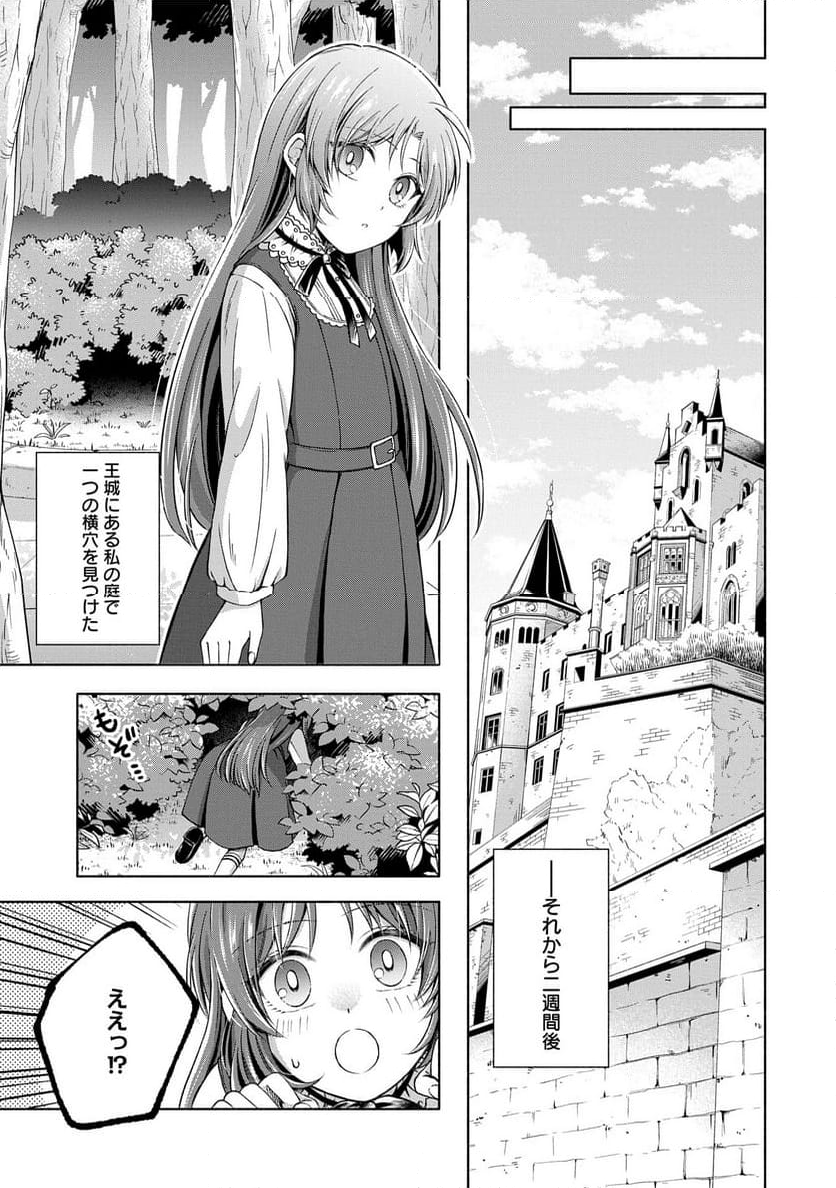 転生した大聖女は、聖女であることをひた隠すZERO～THE GREAT SAINT OF REMEMBRANCE～ - 第8話 - Page 43