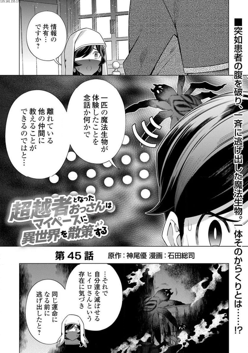 超越者となったおっさんはマイペースに異世界を散策する - 第45話 - Page 1