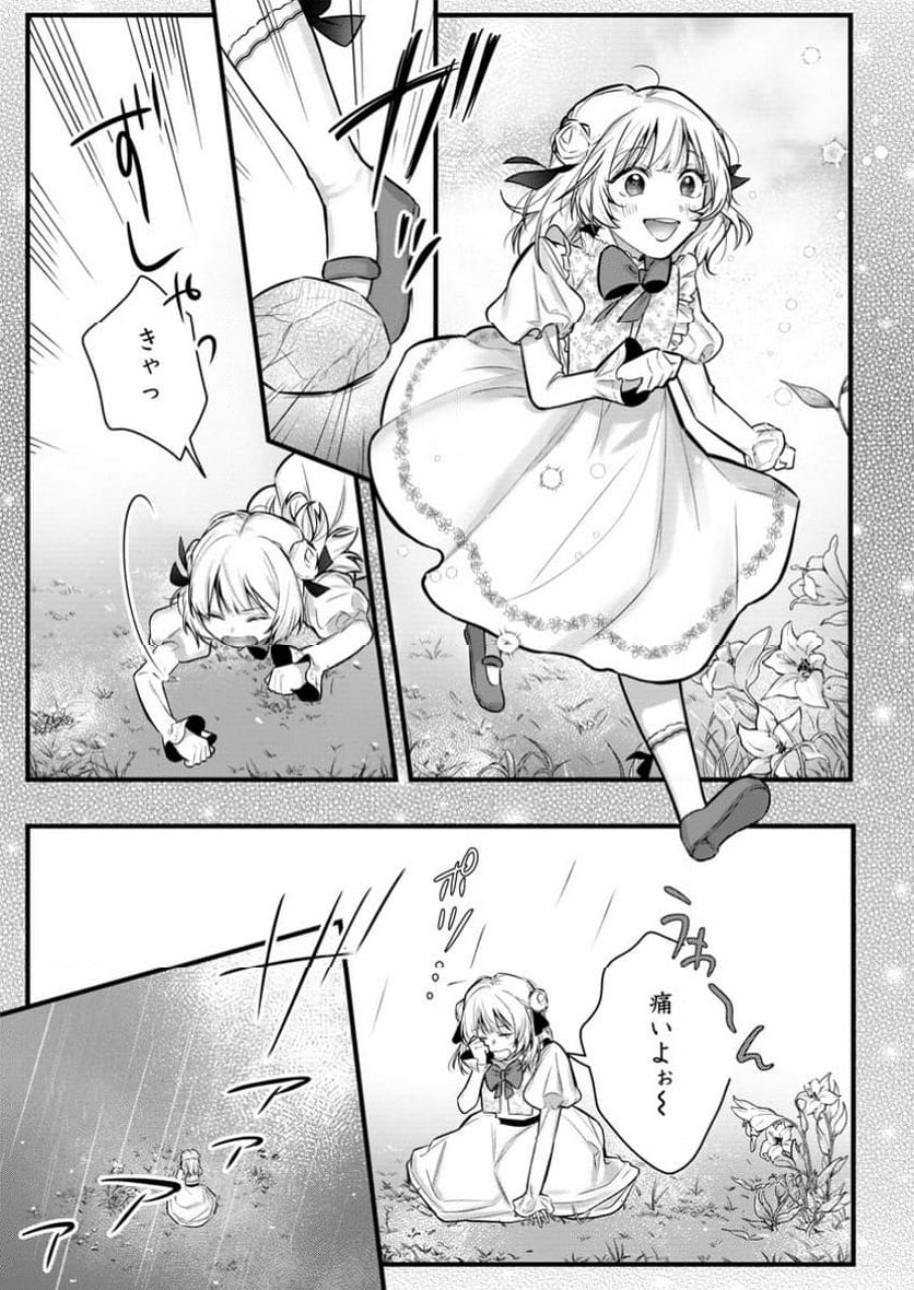 感情が天候に反映される特殊能力持ち令嬢は婚約解消されたので不毛の大地へ嫁ぎたい 第3.2話 - Trang 5