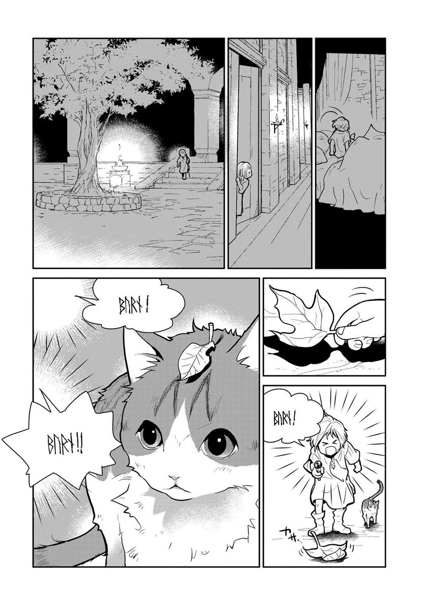 猫と竜 - 第1話 - Page 5