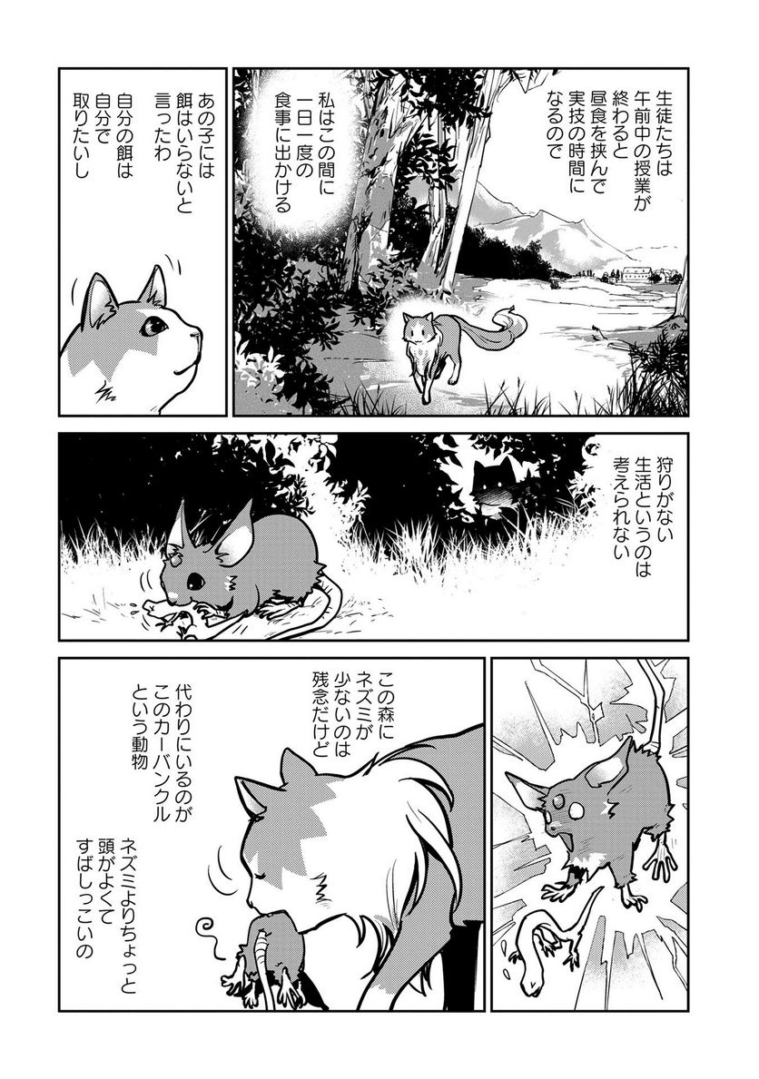 猫と竜 - 第2話 - Page 21