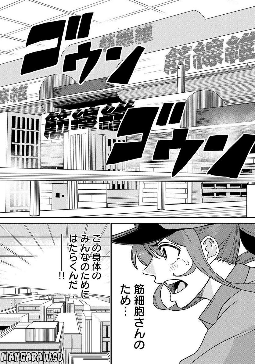 はたらく細胞マッスル - 第1話 - Page 25