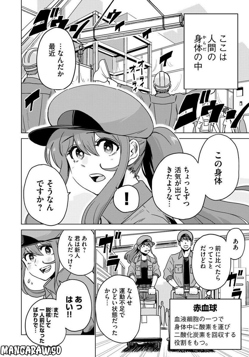 はたらく細胞マッスル - 第1話 - Page 4