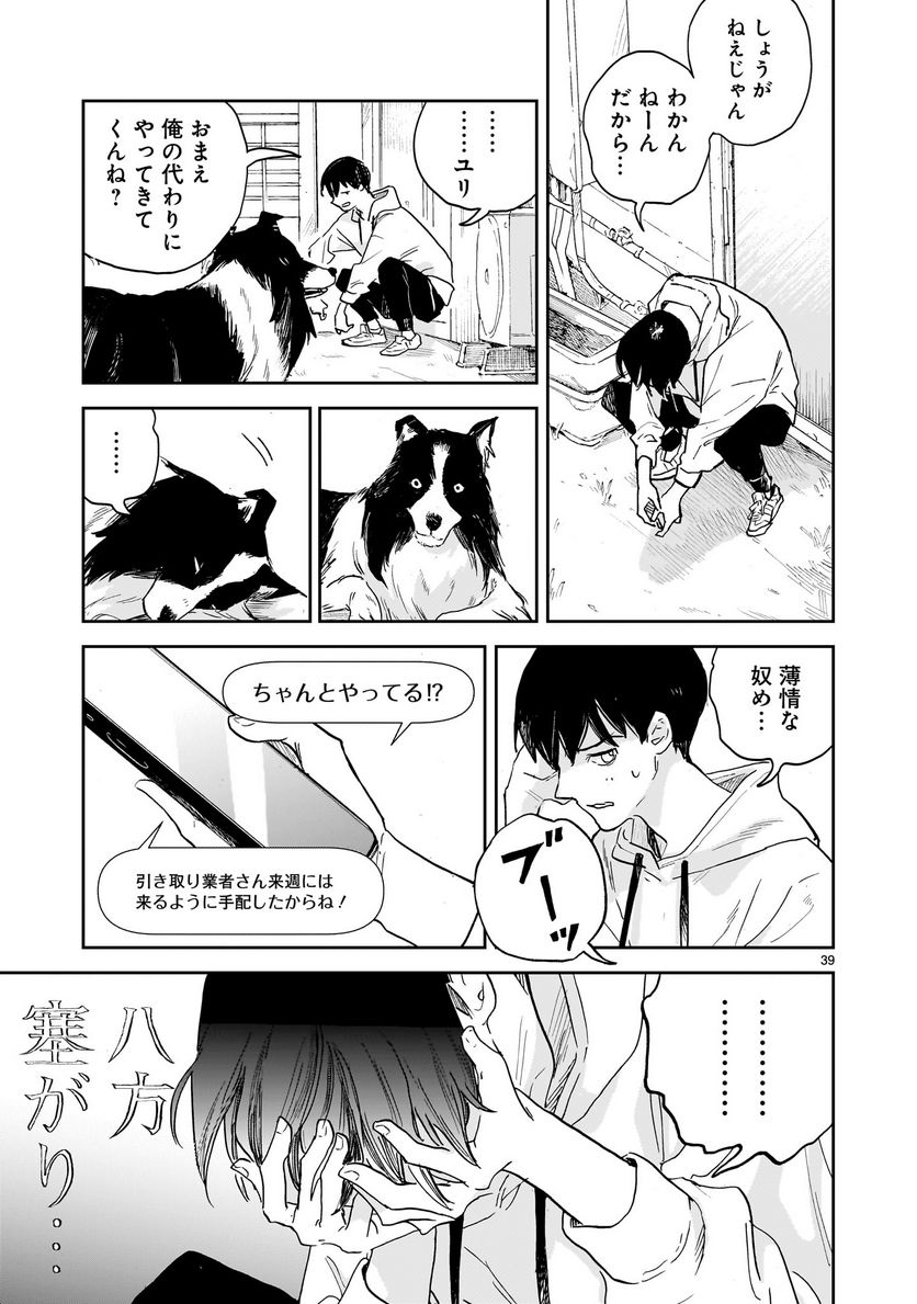 【新連載】めくり、めぐる - 第1話 - Page 39