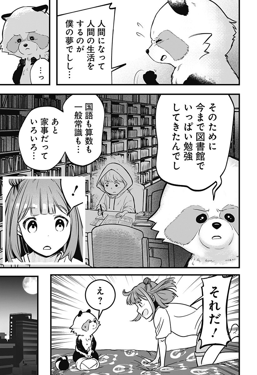 たぬきとたまき - 第1話 - Page 31