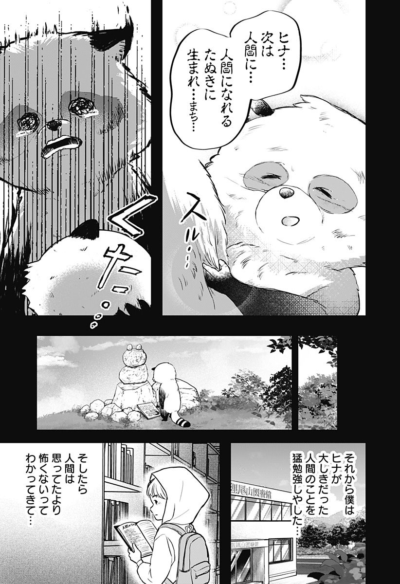 たぬきとたまき - 第1話 - Page 47