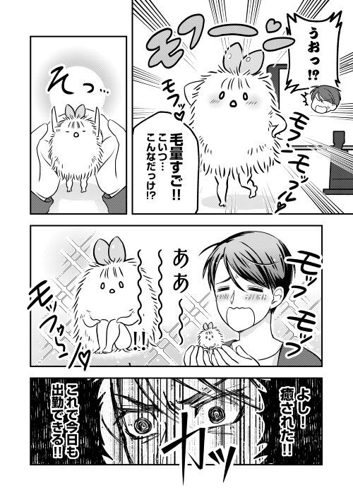 なんかようかい　一人と一匹(?)ぐらし - 第2話 - Page 11