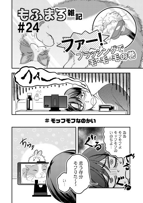 なんかようかい　一人と一匹(?)ぐらし - 第2話 - Page 10