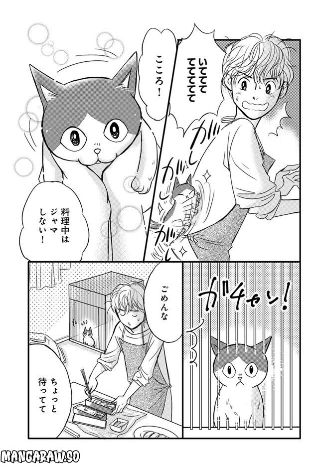 彼とねこが待っている。 第1.1話 - Trang 5