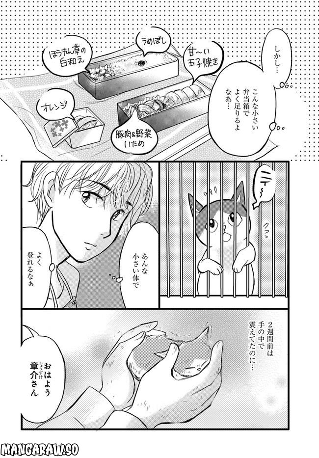 彼とねこが待っている。 第1.1話 - Trang 6
