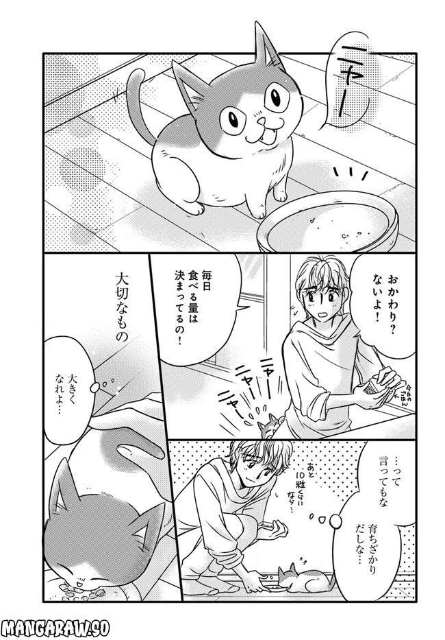 彼とねこが待っている。 第1.3話 - Trang 7