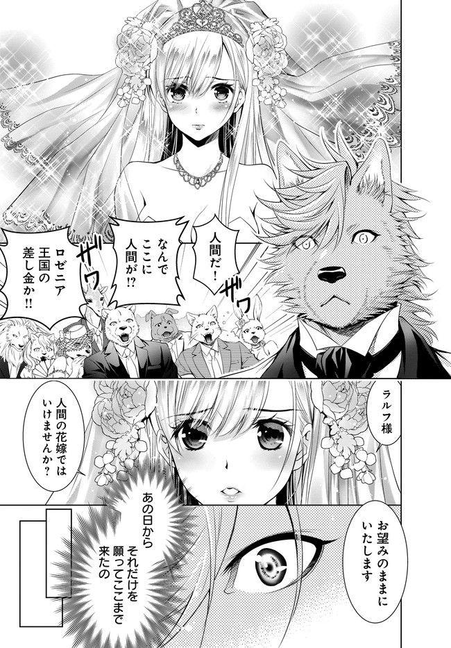 このたび獣人隊長の花嫁になりまして！　押しかけ令嬢のモフモフ新婚暮らし 第1.1話 - Trang 7