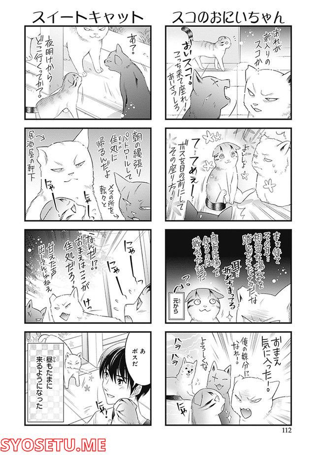こはる日和とアニマルボイス 第1.1話 - Trang 114